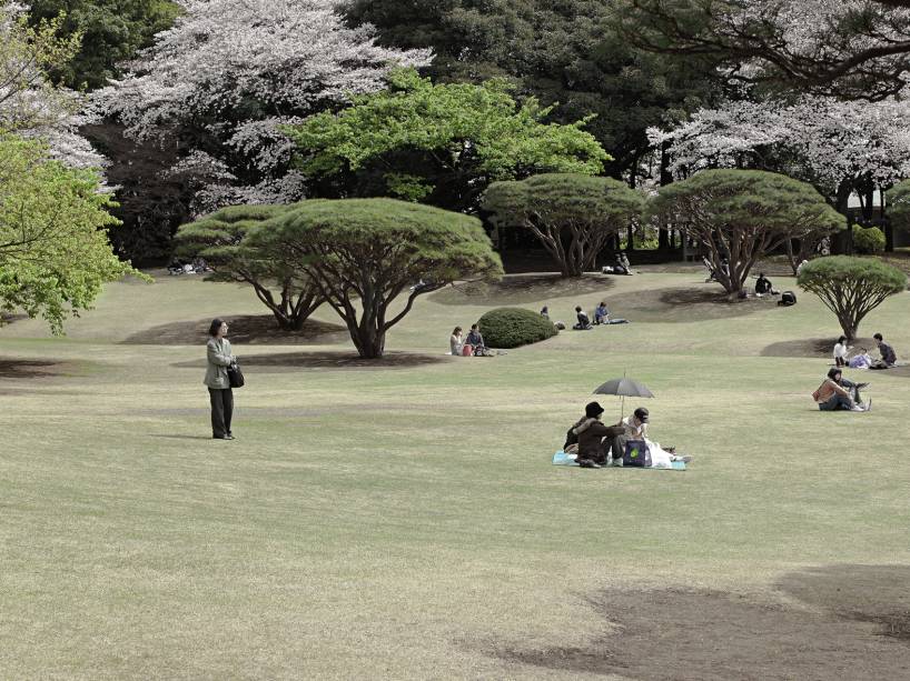 Domingo no parque, Tokyo 2010