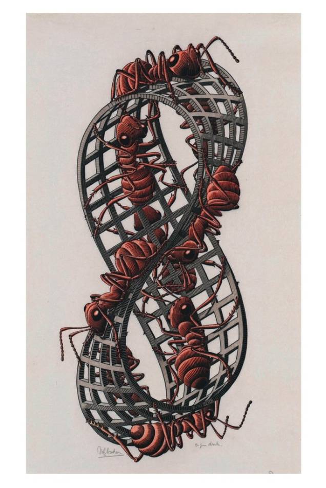 Fita de Moebius II (Formigas), gravura de Maurits Cornelis Escher Fita de Moebius II (Formigas), gravura de Maurits Cornelis Escher