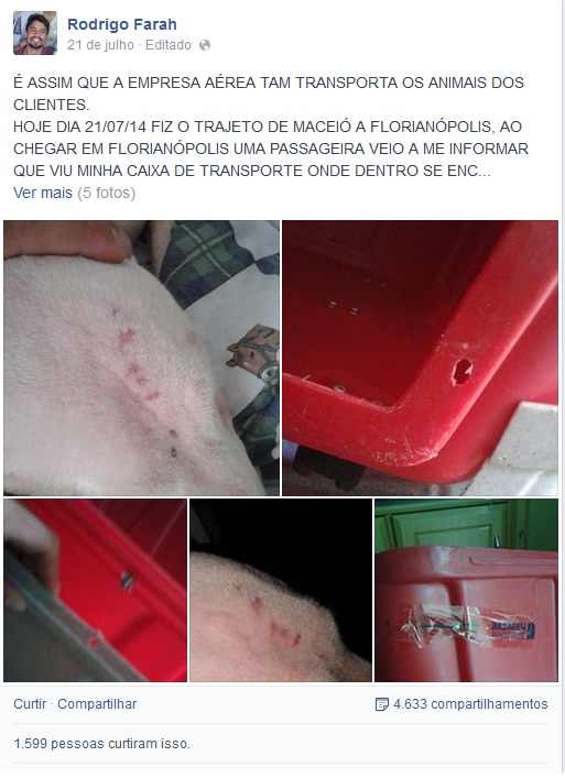 Denúncia de maus-tratos contra cadela de passageiro em voo da TAM viraliza na internet