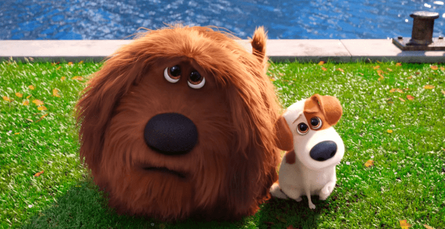 Série de eventos agita lançamento de ‘Pets’ em DVD e Blu-ray
