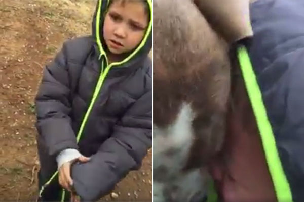 meninocachorro