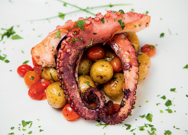 Polvo grelhado com tomate e batata: cardápio renovado