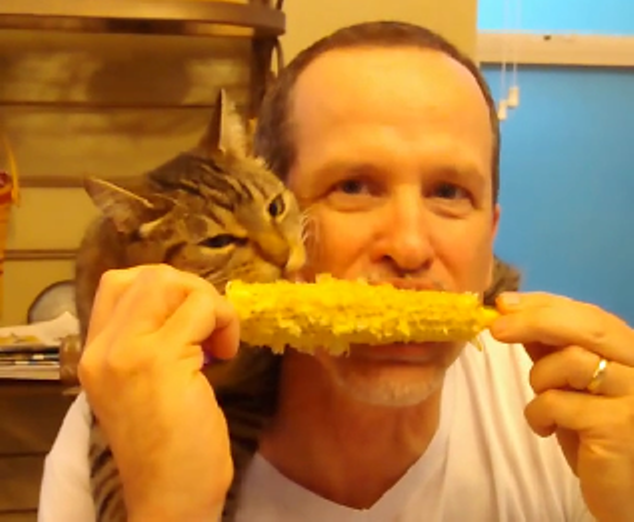 Gato apaixonado por milho divide espiga com dono no vídeo mais fofo do dia