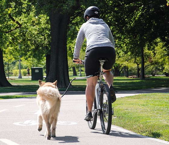 Marca lança guia de cachorro acoplável à bicicleta