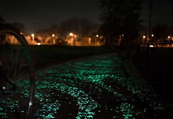 A ciclovia iluminada (Foto: Reprodução)