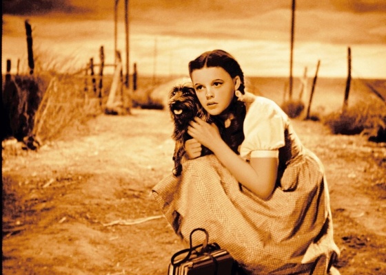 Dorothy vai aparecer adulta em nova série de TV