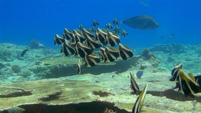 Rever Disque M para Matar em 3D é uma experiência única