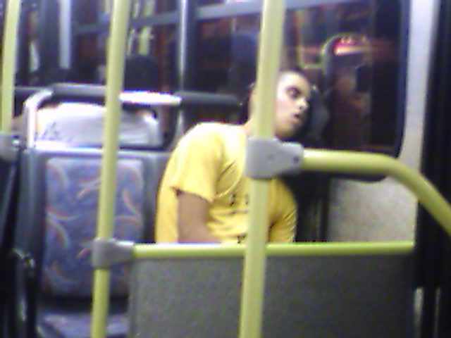 ônibus ônibus