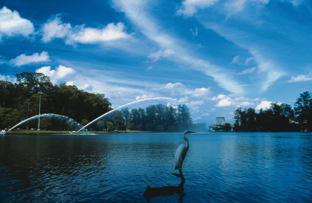parque-do-ibirapuera parque-do-ibirapuera