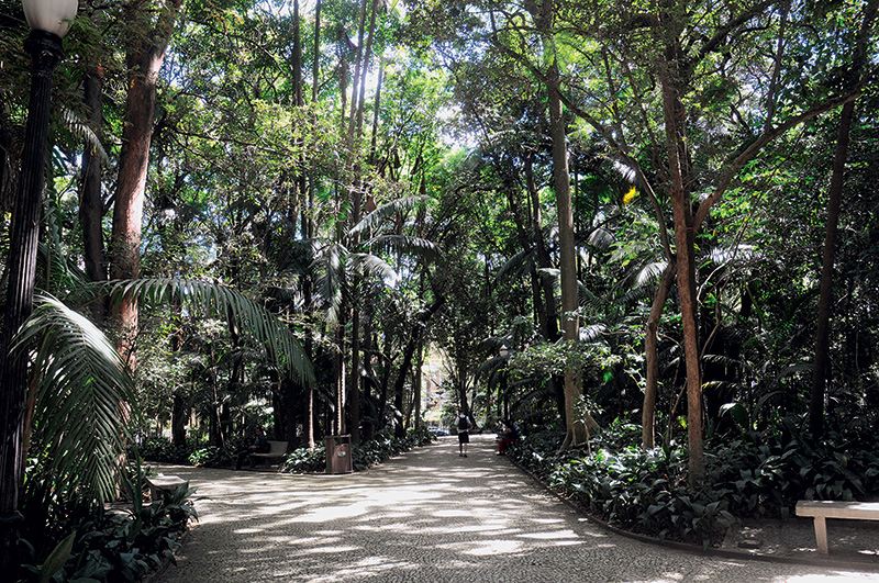 Parque Trianon: ideal para relaxar na região da Paulista