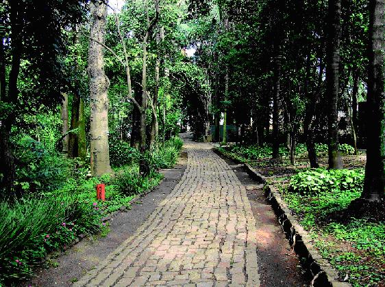 Ciclovia não é recomendada para crianças pequenas, pois a pista é de paralelepípedos Ciclovia não é recomendada para crianças pequenas, pois a pista é de paralelepípedos