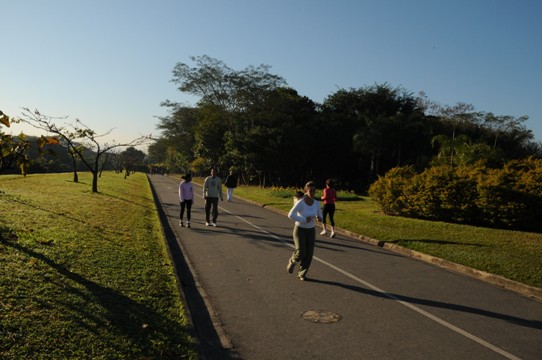 Harry Potter em São Paulo