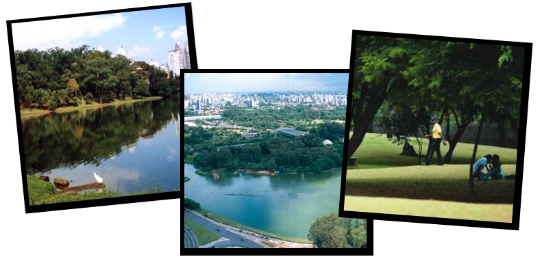 Instagram: missão da semana