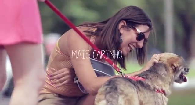 Campanha faz com que cadela que sofreu maus-tratos passe um dia todo recebendo carinhos