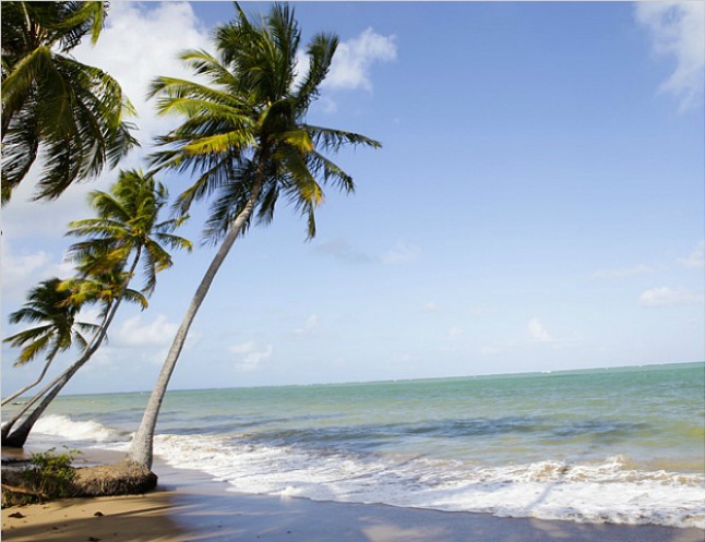 Paraísos particulares: dilema existencial