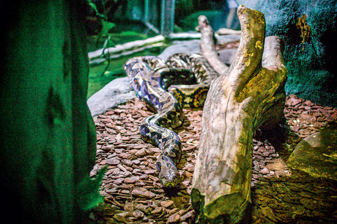 Promoção Aquário de São Paulo – Ingressos para 18 de abril