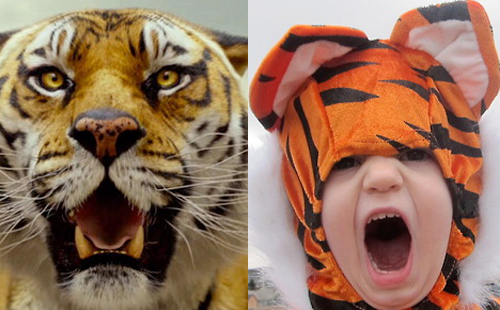 Fofura do dia: Crianças em clima de Oscar