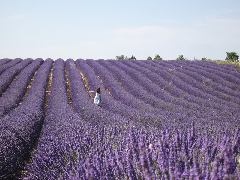 provence