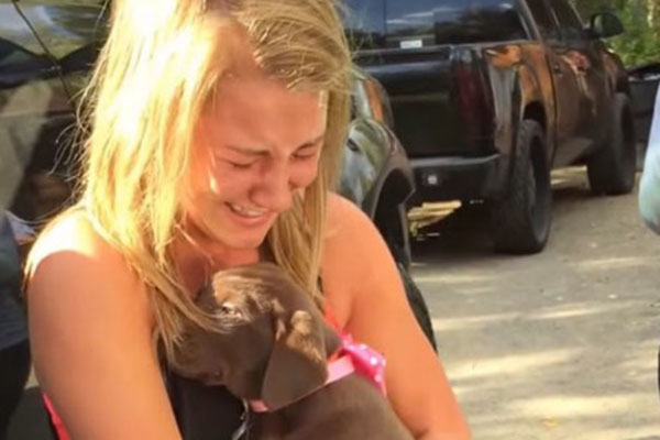 puppyproposal2-500x375c