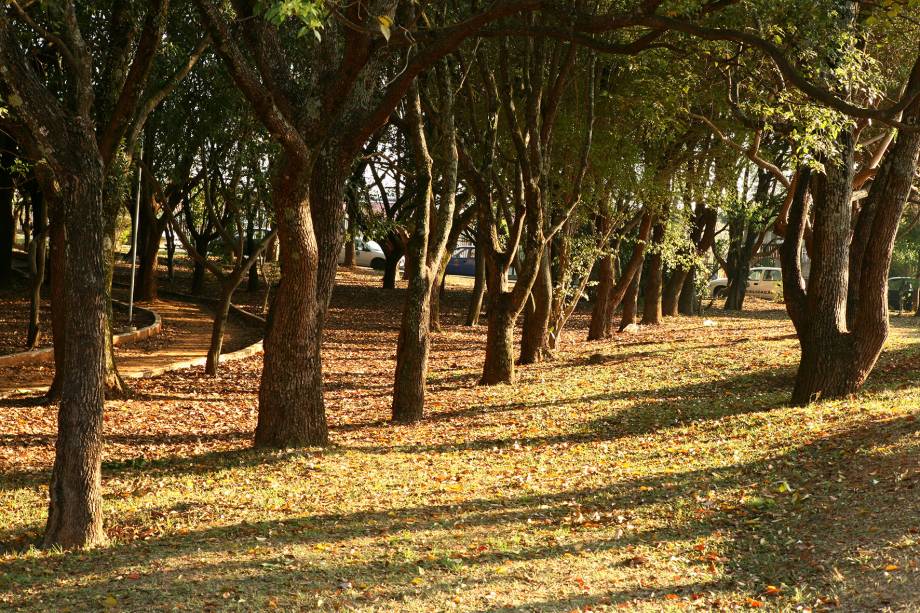 O Espaço Verde Chico Mendes possui uma área verde de 140 000 m² e é um dos principais destaques da cidade