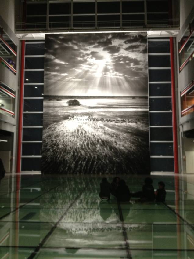 Genesis: foto de Sebastião Salgado Genesis: foto de Sebastião Salgado
