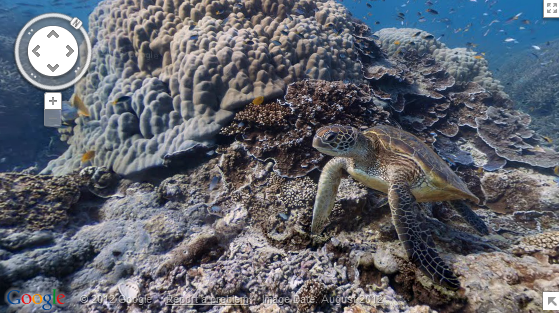 Google lança uma versão subaquática do Street View