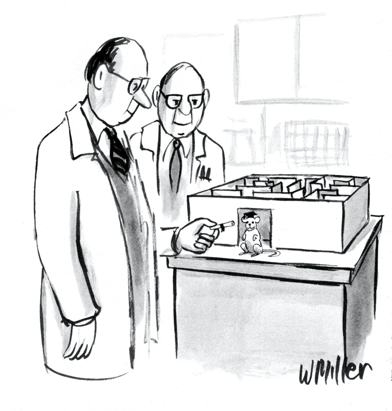 Cartum: diploma ao camundongo