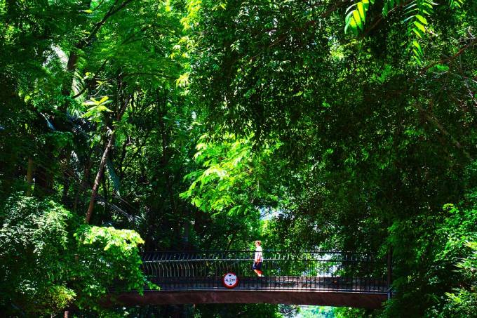 Quase uma selva no Parque Trianon Foto Ivan Dias