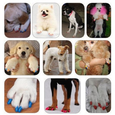 unhas-pets-e1421693106809