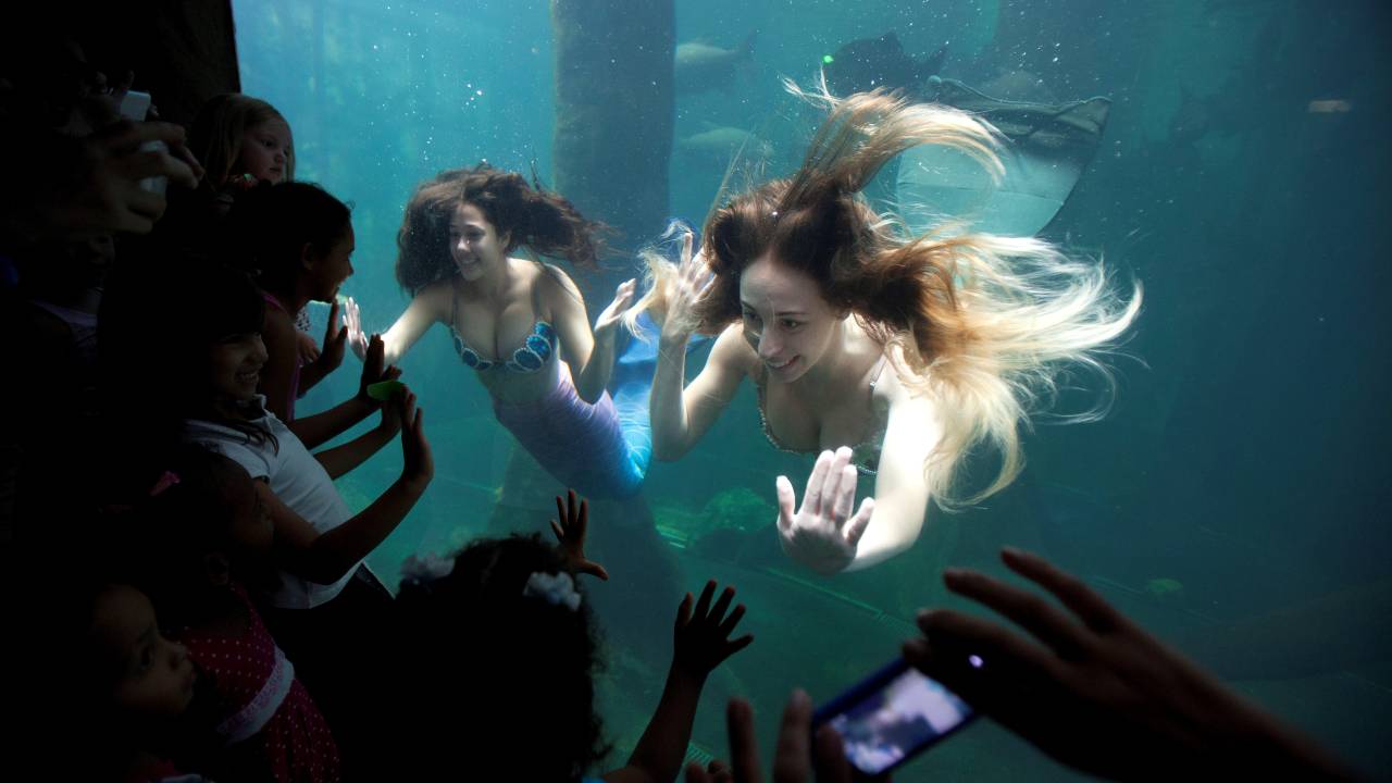 Aquário de São Paulo - As Sereias