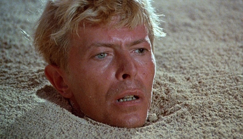david-bowie david-bowie