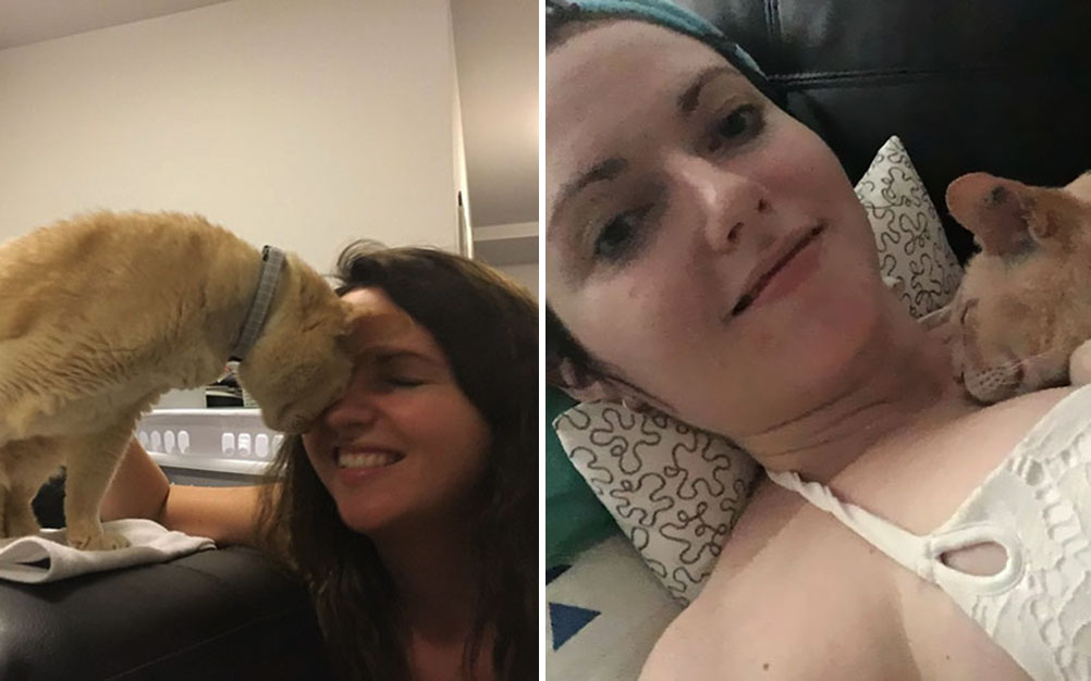 Gato de 13 anos dorme de “mãos dadas” com mulher que o resgatou