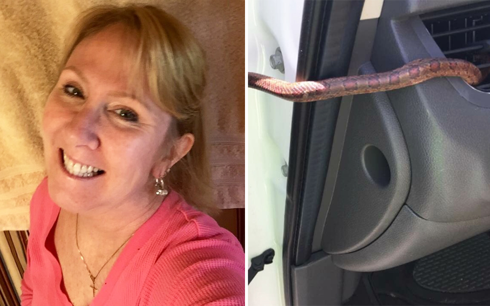 Mulher é surpreendida por cobra saindo da ventilação do carro