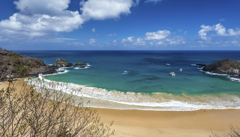 Criança de 8 anos é atacada por tubarão em Fernando de Noronha