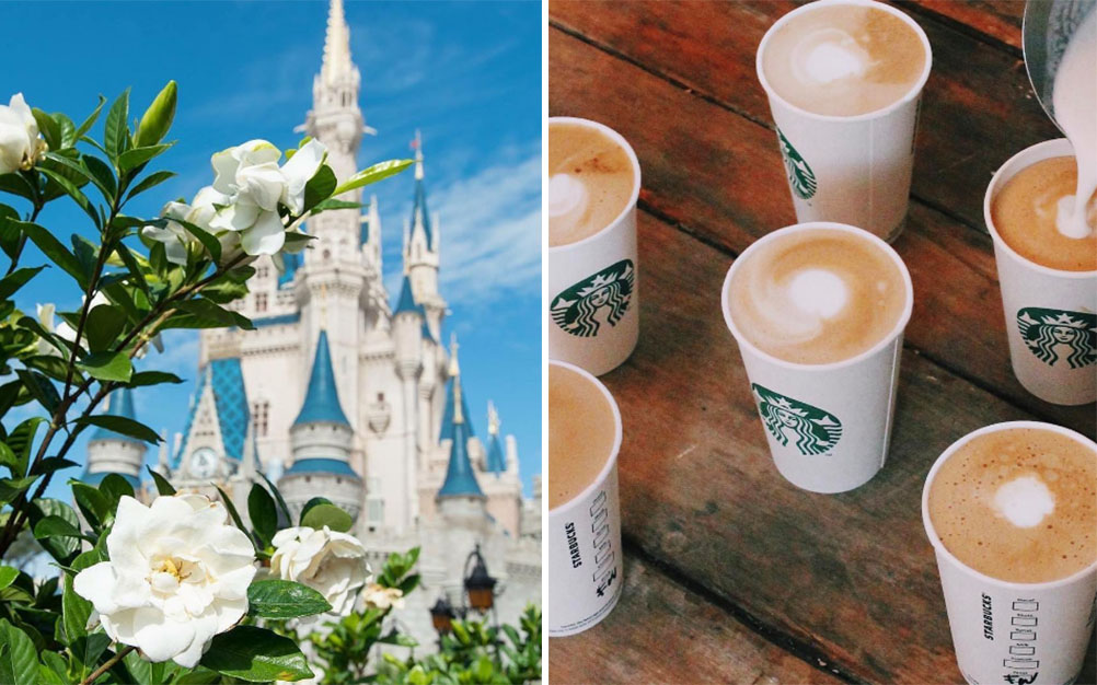 Starbucks cria Frappuccino exclusivo para o Walt Disney World