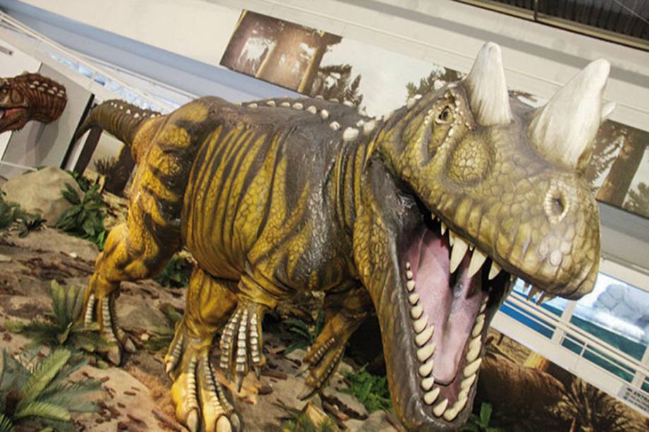 Dinos e pinguins Dinos e pinguins