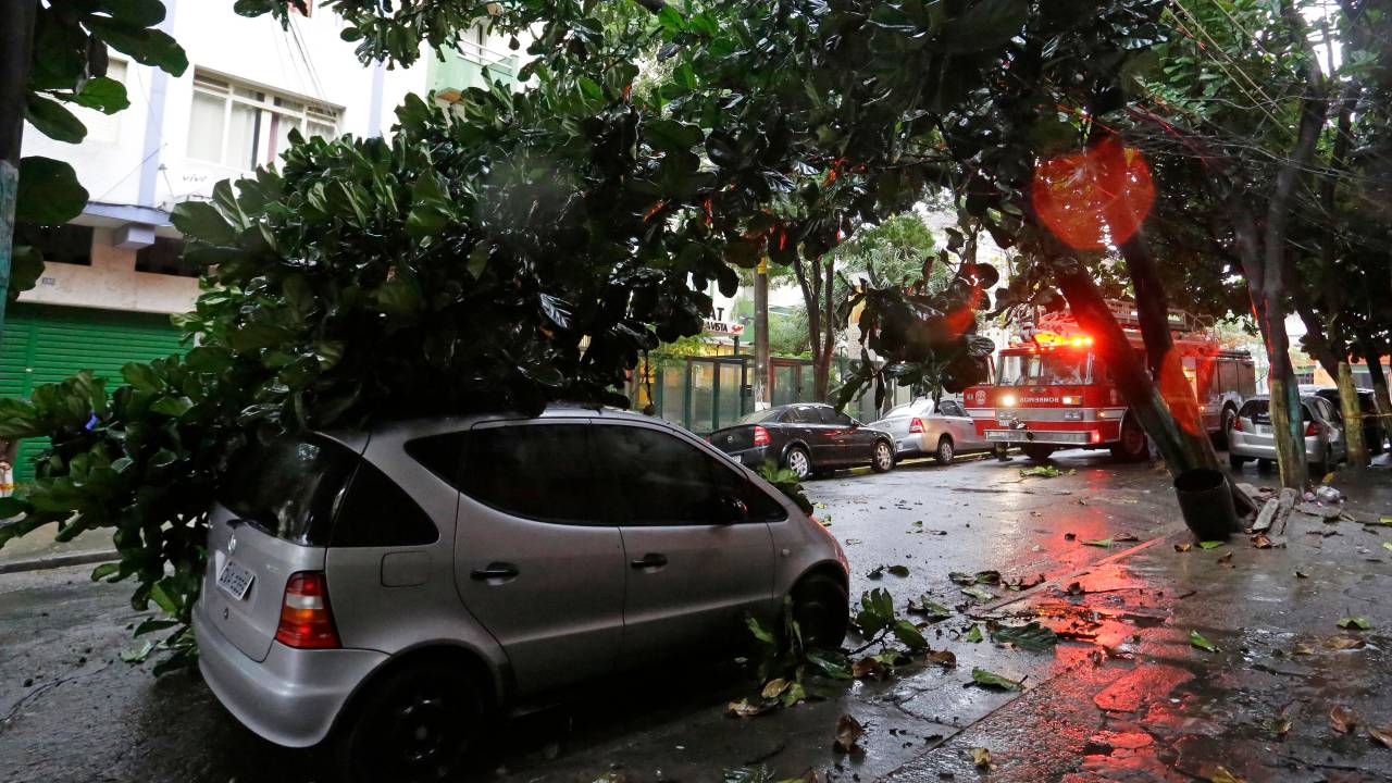Árvore caída em rua do centro.