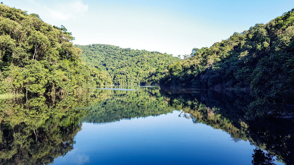 Parque Estadual Cantareira: uma das maiores florestas urbanas do mundo