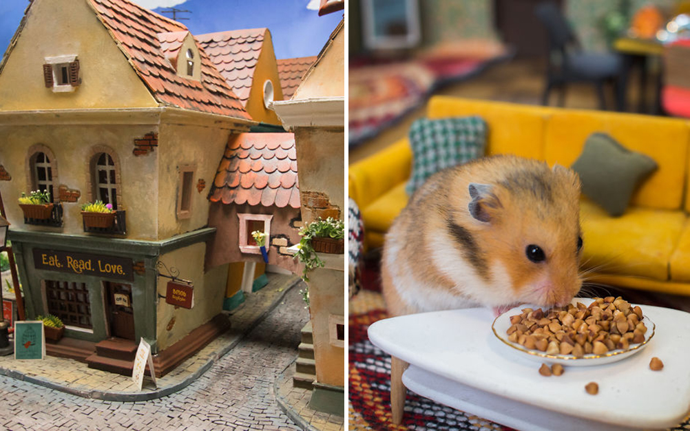 Amigos gastam 1 984 horas para criar vila para hamsters famintos