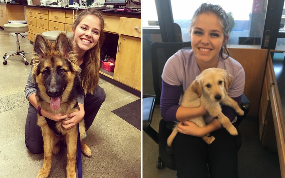 Jovem finge que cachorro é bebê para levá-lo até avó no hospital