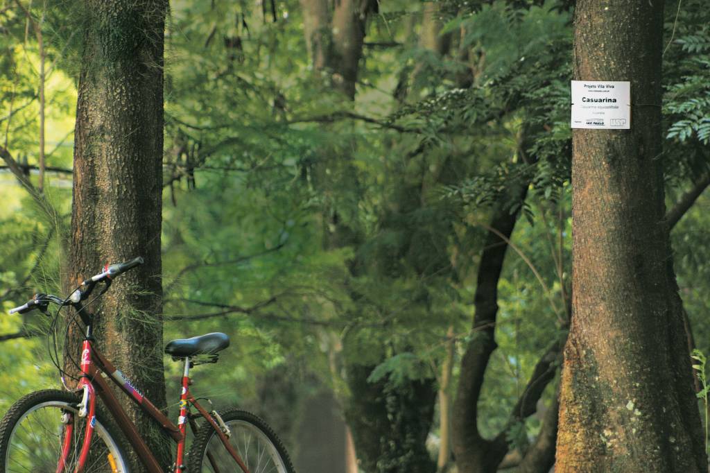 Por que é tão legal morar na Vila Madalena?