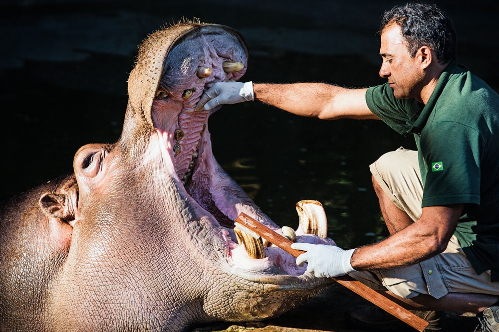 Zoológico.