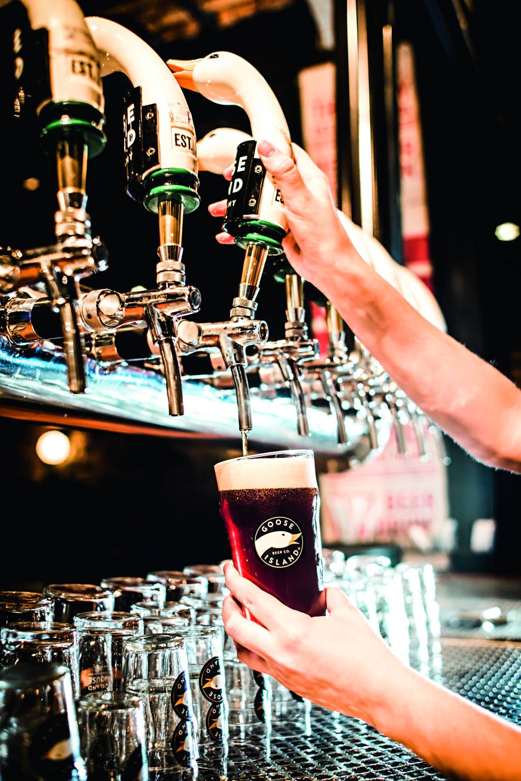 Confira as cervejarias participantes do São Paulo Beer Festival