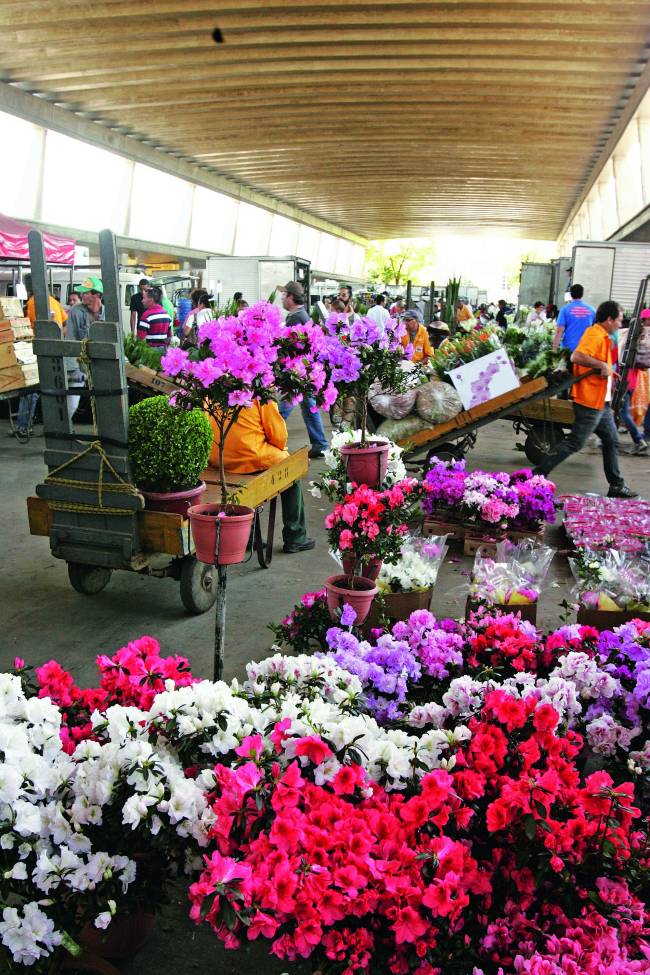 Feira de flores no Ceagesp