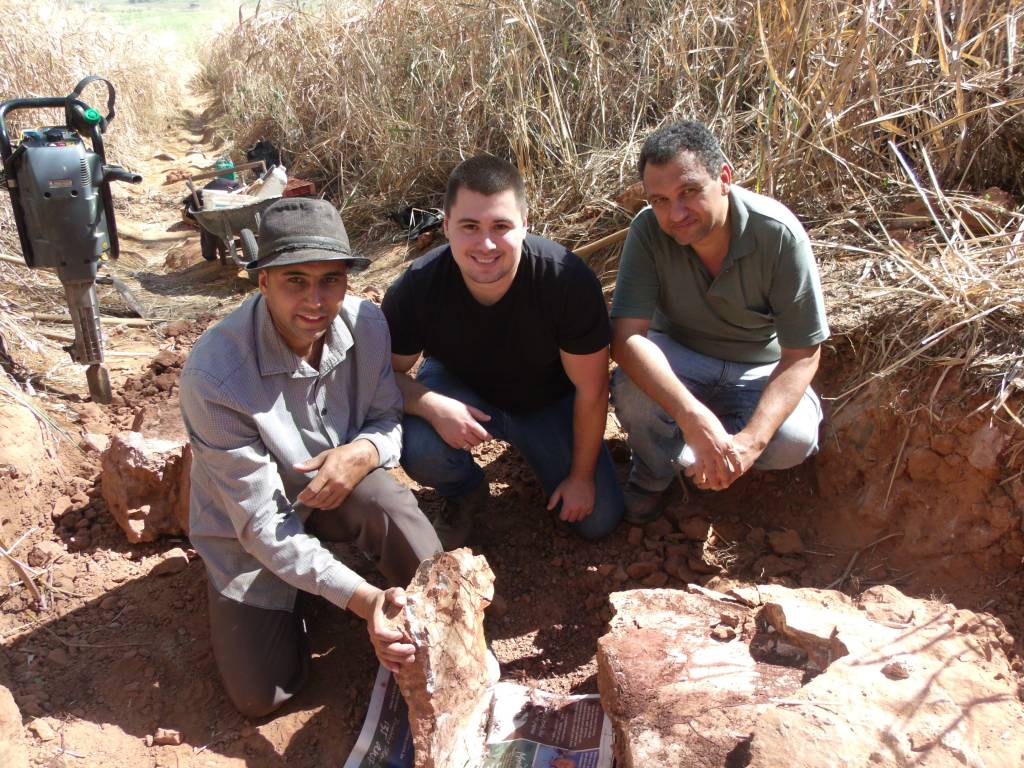 Fóssil de dinossauro de quase 16 metros é achado no interior