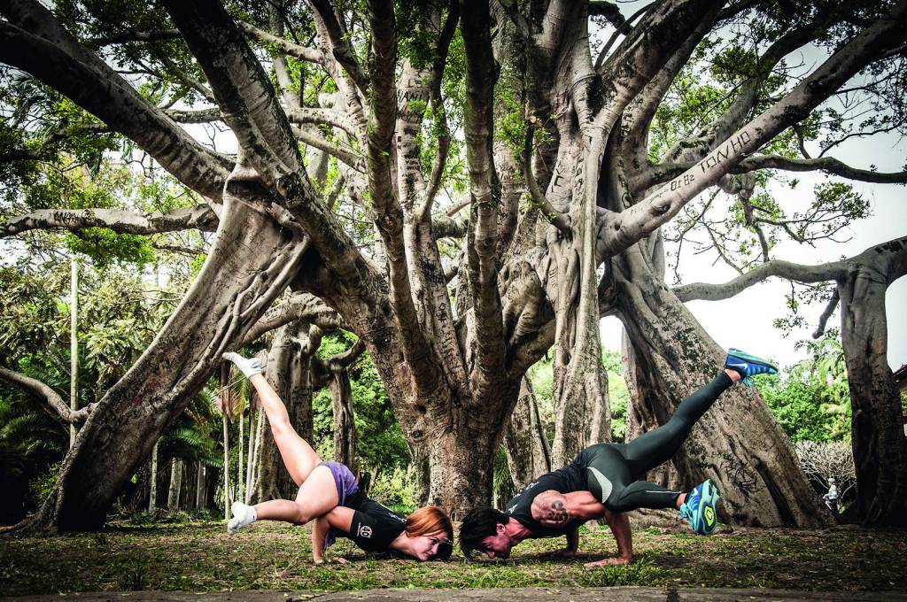 Curiosidades e destaques do bairro do Ibirapuera