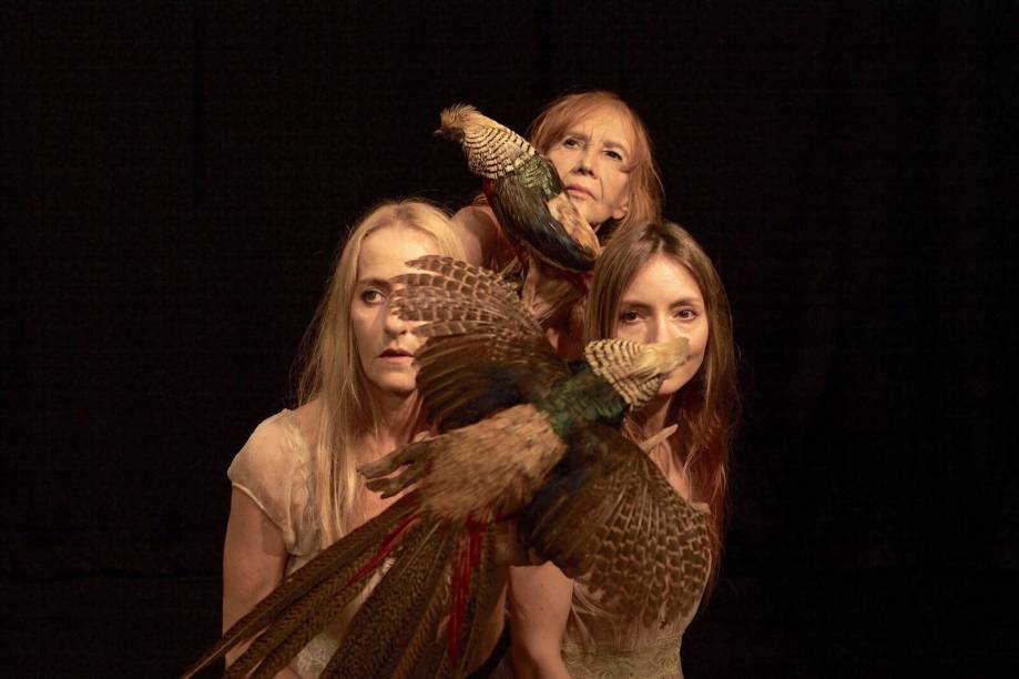 Michele Matalon, Helena Ignez e Djin Sganzerla em cena de 'Tchekhov É um Cogumelo' Michele Matalon, Helena Ignez e Djin Sganzerla em cena de 'Tchekhov É um Cogumelo'