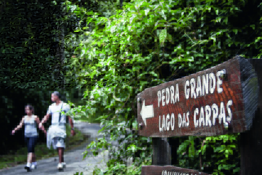 Tour que passa por três parques paulistanos acontece em setembro