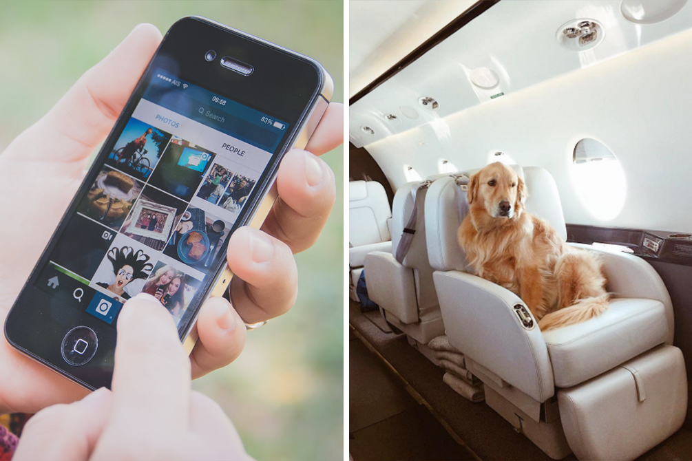 Empresa oferece serviço que promete “enganar” seguidores