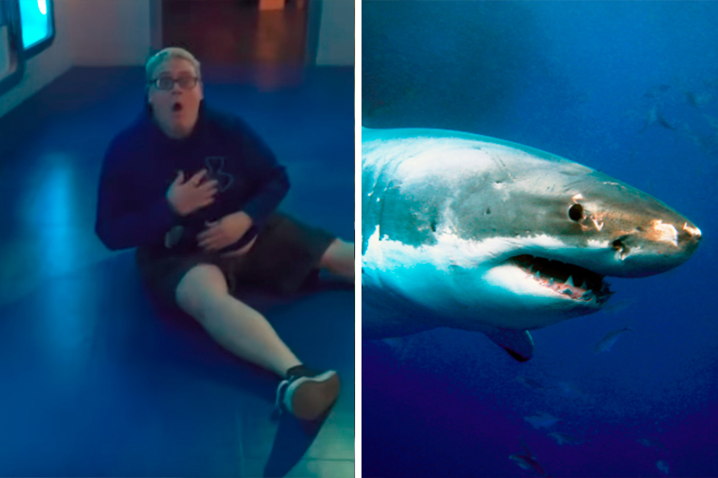 Rapaz toma susto após ataque de “tubarão” em museu americano